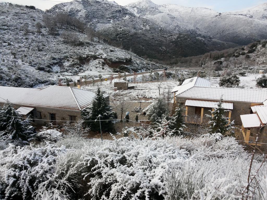 Apollonion Hotel Andritsaina Zewnętrze zdjęcie